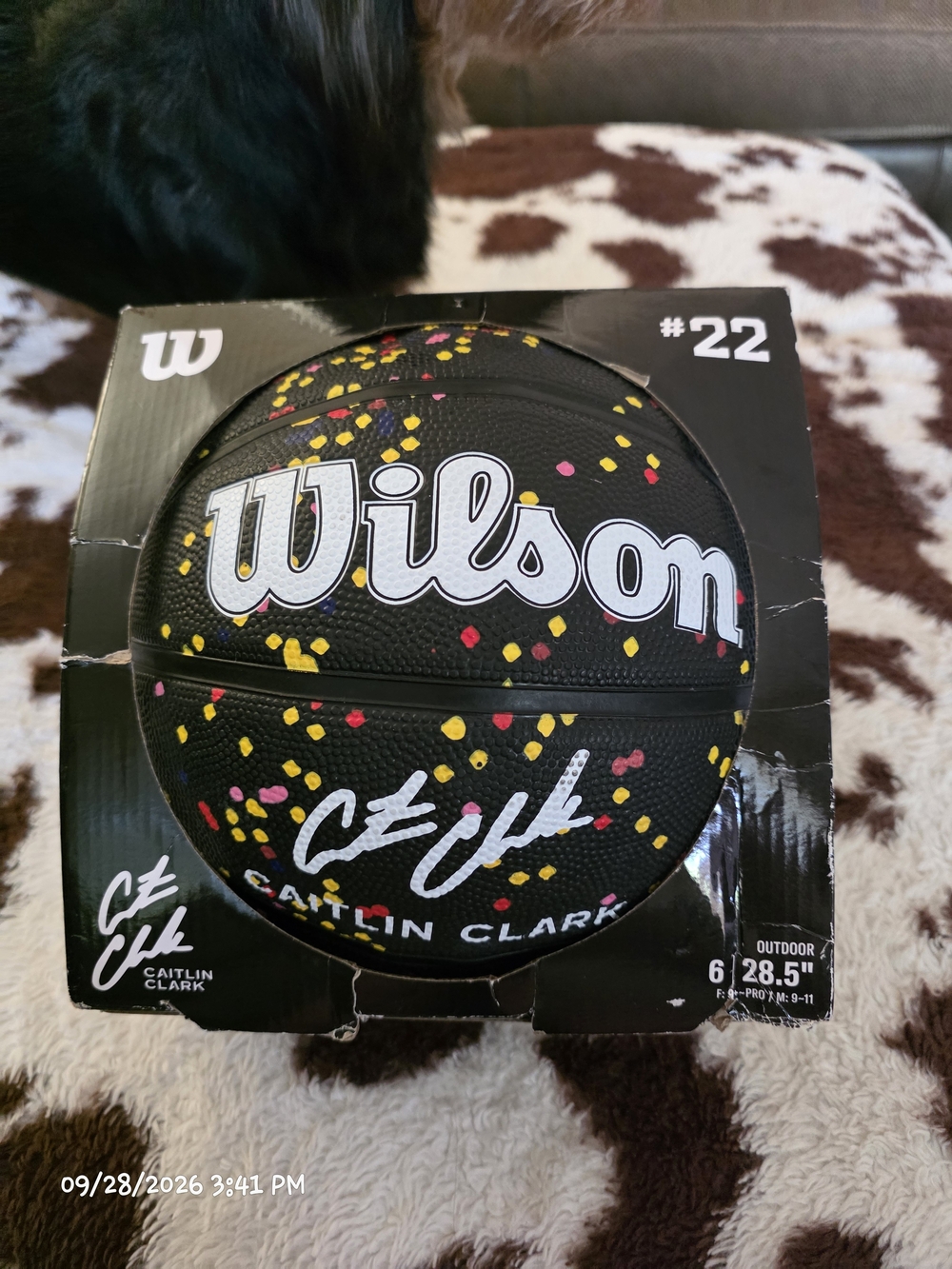 Wilson Caitlin Clark #22 Outdoor Basketball Size 6 28.5" Indiana Fever